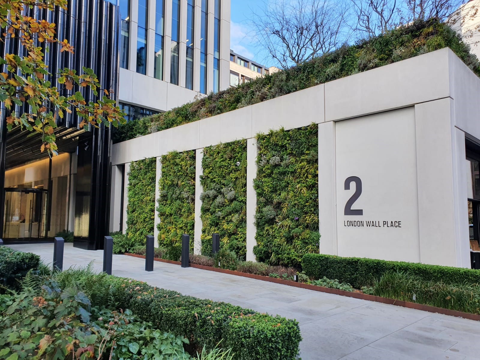 How long do living walls last?